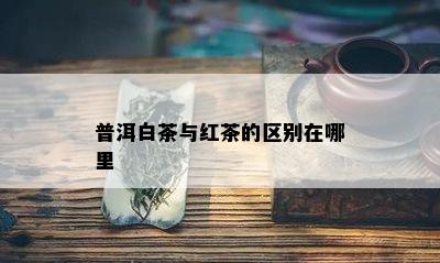 普洱白茶与红茶的区别在哪里