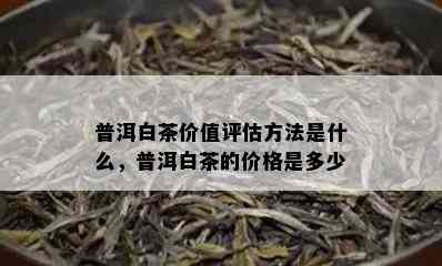 普洱白茶价值评估方法是什么，普洱白茶的价格是多少