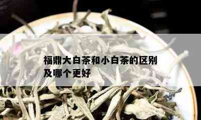 福鼎大白茶和小白茶的区别及哪个更好