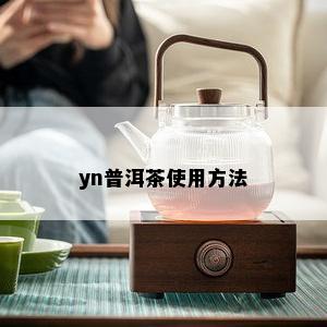 yn普洱茶使用方法