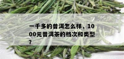 一千多的普洱怎么样，1000元普洱茶的档次和类型？