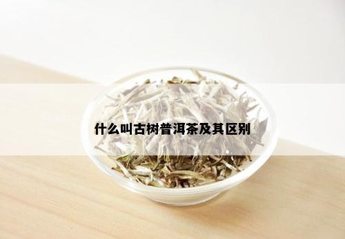 什么叫古树普洱茶及其区别