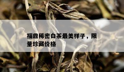 福鼎稀密白茶最美样子， *** 珍藏价格