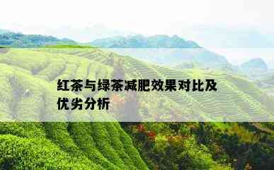 红茶与绿茶减肥效果对比及优劣分析