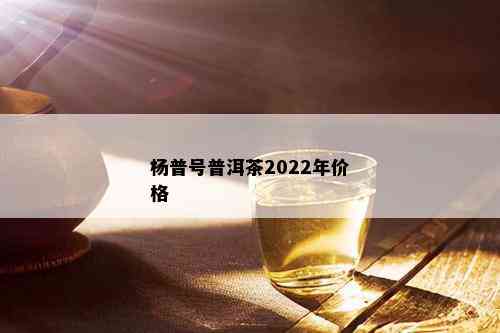 杨普号普洱茶2022年价格