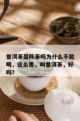 普洱茶是陈茶吗为什么不能喝，这么贵，叫普洱茶，好吗？