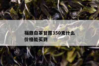 福鼎白茶甘露350克什么价格能买到