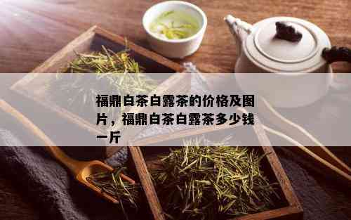 福鼎白茶白露茶的价格及图片，福鼎白茶白露茶多少钱一斤