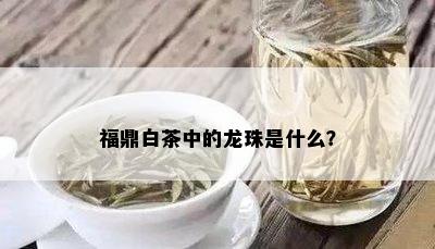 福鼎白茶中的龙珠是什么？