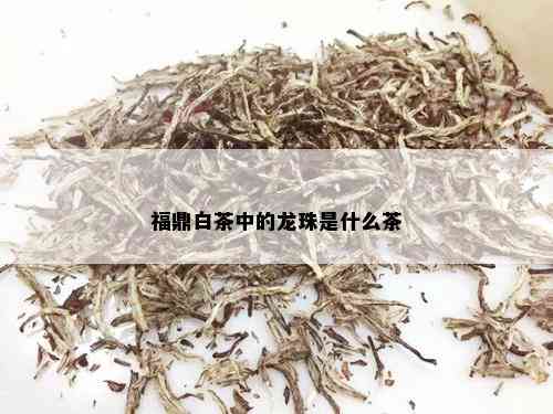 福鼎白茶中的龙珠是什么茶