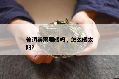 普洱茶需要晒吗，怎么晒太阳？