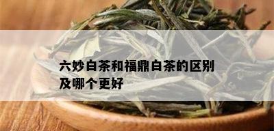 六妙白茶和福鼎白茶的区别及哪个更好