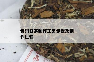 普洱白茶制作工艺步骤及制作过程