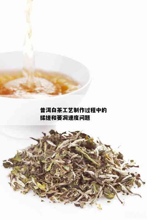 普洱白茶工艺制作过程中的揉搓和萎凋速度问题