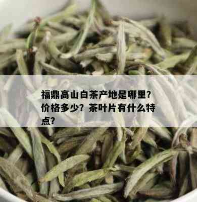 福鼎高山白茶产地是哪里？价格多少？茶叶片有什么特点？