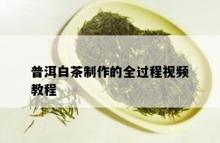 普洱白茶制作的全过程视频教程