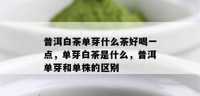 普洱白茶单芽什么茶好喝一点，单芽白茶是什么，普洱单芽和单株的区别