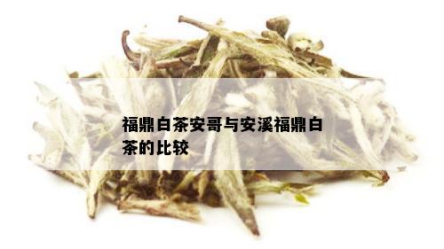 福鼎白茶安哥与安溪福鼎白茶的比较