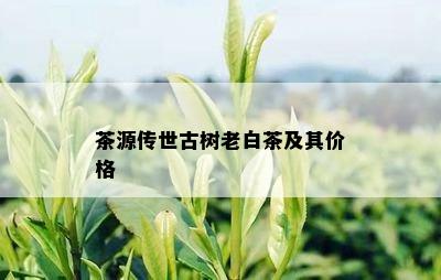 茶源传世古树老白茶及其价格