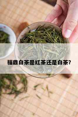 福鼎白茶是红茶还是白茶？