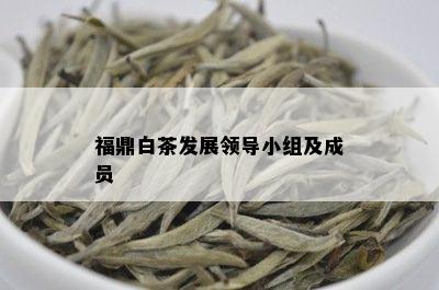 福鼎白茶发展领导小组及成员