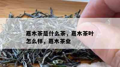 嘉木茶是什么茶，嘉木茶叶怎么样，嘉木茶业