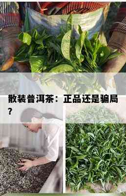 散装普洱茶：正品还是骗局？