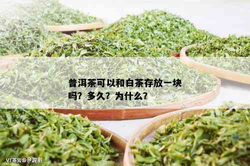 普洱茶可以和白茶存放一块吗？多久？为什么？