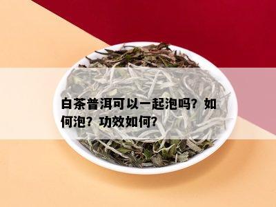 白茶普洱可以一起泡吗？如何泡？功效如何？