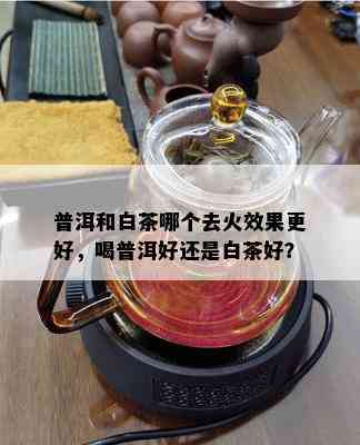 普洱和白茶哪个去火效果更好，喝普洱好还是白茶好？