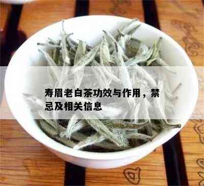 寿眉老白茶功效与作用，禁忌及相关信息