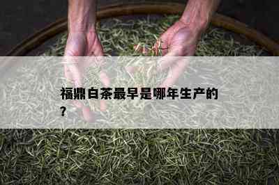 福鼎白茶最早是哪年生产的？