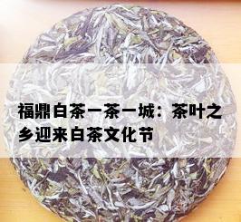 福鼎白茶一茶一城：茶叶之乡迎来白茶文化节