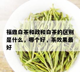 福鼎白茶和政和白茶的区别是什么，哪个好，茶效果更好