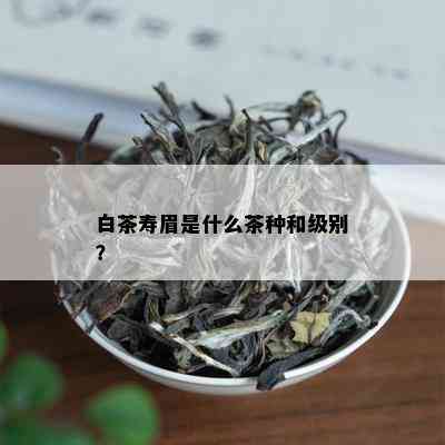 白茶寿眉是什么茶种和级别？