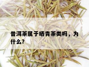 普洱茶属于晒青茶类吗，为什么？