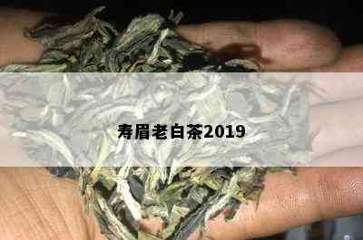 寿眉老白茶2019