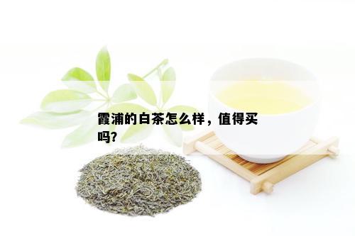 霞浦的白茶怎么样，值得买吗？