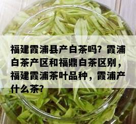 福建霞浦县产白茶吗？霞浦白茶产区和福鼎白茶区别，福建霞浦茶叶品种，霞浦产什么茶？