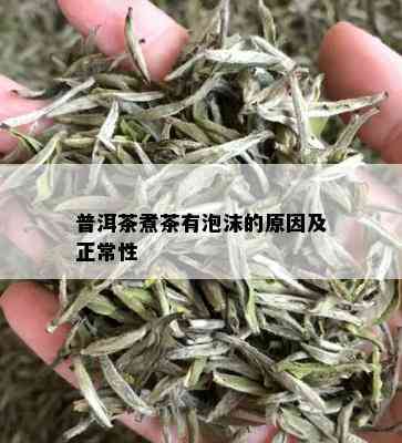 普洱茶煮茶有泡沫的原因及正常性