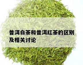 普洱白茶和普洱红茶的区别及相关讨论