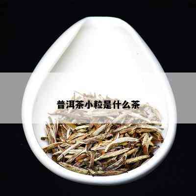 普洱茶小粒是什么茶