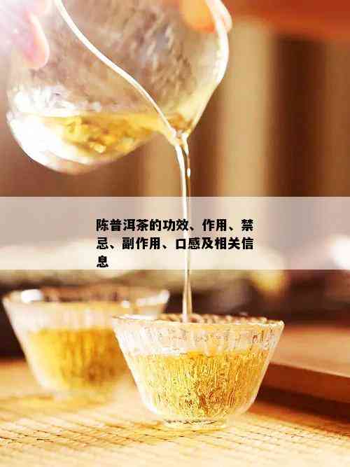 陈普洱茶的功效、作用、禁忌、副作用、口感及相关信息