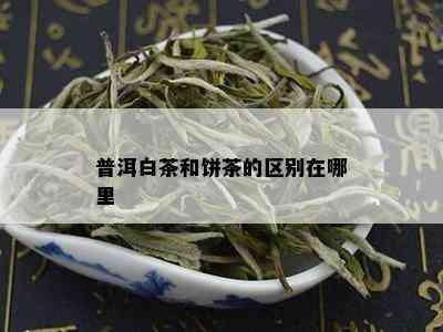 普洱白茶和饼茶的区别在哪里