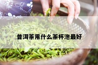 普洱茶用什么茶杯泡更好