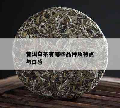 普洱白茶有哪些品种及特点与口感