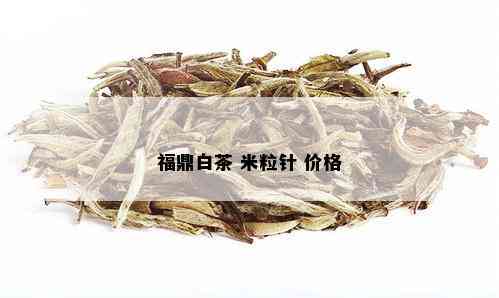 福鼎白茶 米粒针 价格