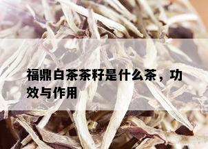 福鼎白茶茶籽是什么茶，功效与作用