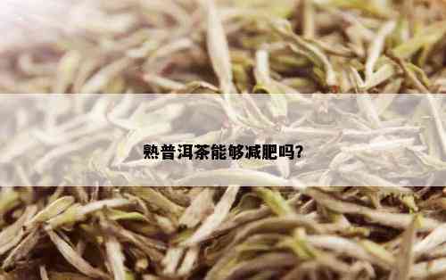 熟普洱茶能够减肥吗？