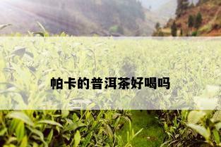 帕卡的普洱茶好喝吗